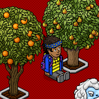 Photo by .TrueStory.