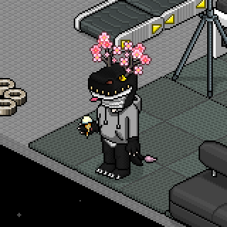 Photo by Gogtugs