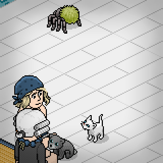Photo by Metalheadx