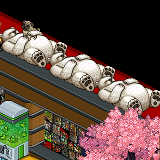 Photo by MaThery