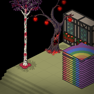 Photo by Gidox_