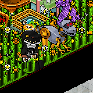 Photo by HabboHotelier