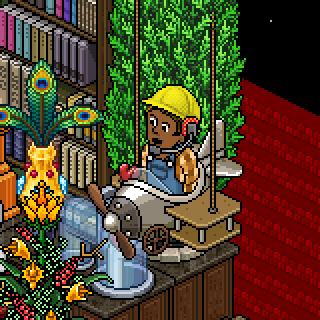 Photo by HabboHotelier