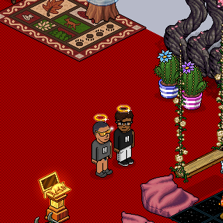 Photo by HabboHotelier