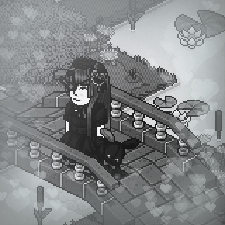 Photo by Shiragiku