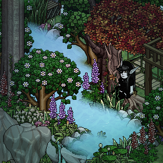 Photo by Shiragiku