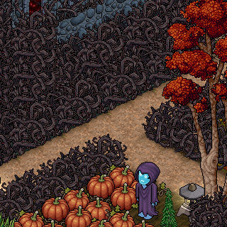Photo by .Joni195