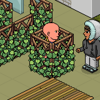 Photo by FENDI-1