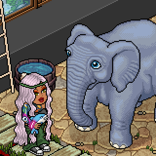 Photo by Michiloo