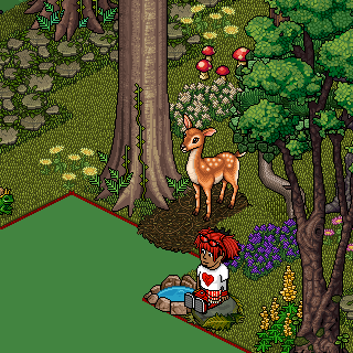 Photo by Rosi999