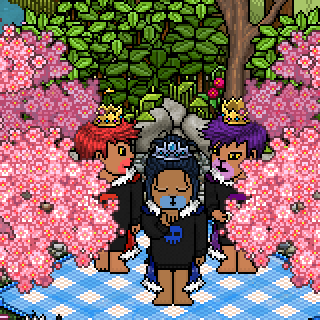 Photo by Niio