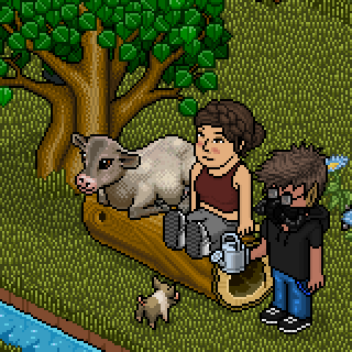 Photo by elende