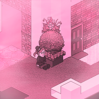 Photo by Nik