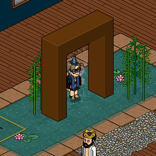 Photo by Nik