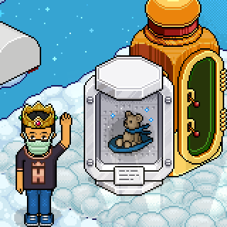 Photo by :Miguel