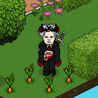 Photo by Hemonio