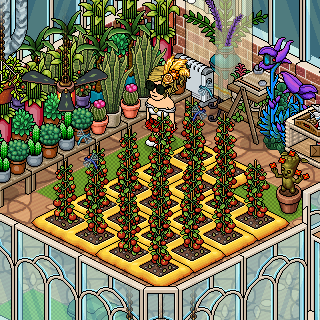 Photo by carmencita52