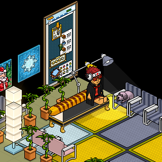 Photo by HABBO-TRUNGS