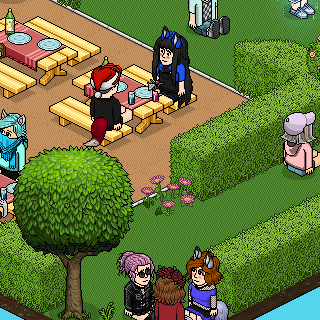 Photo by Jassael181