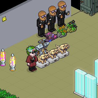 Photo by -Yair-