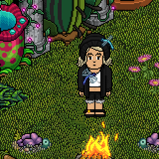 Photo by Palomitabp