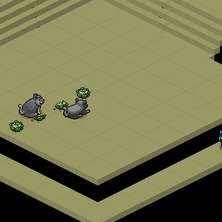 Photo by percihabbo