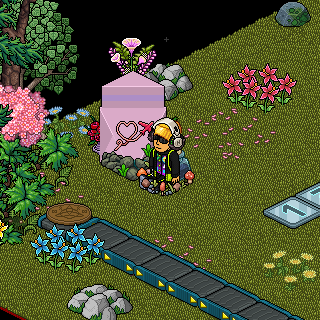 Photo by colombian--o