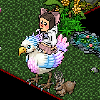 Photo by ariana14!!