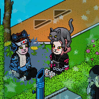 Photo by Shitaro.