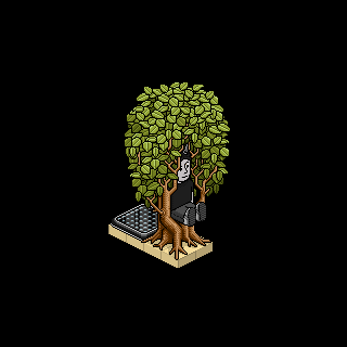 Photo by reaspero@15
