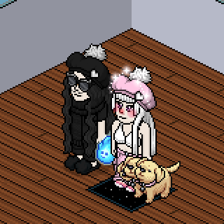 Photo by Ronny-