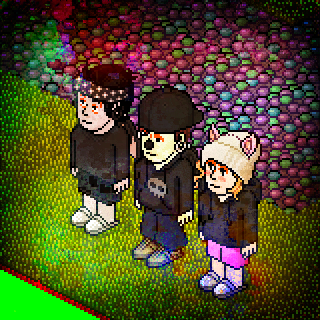 Photo by Toek