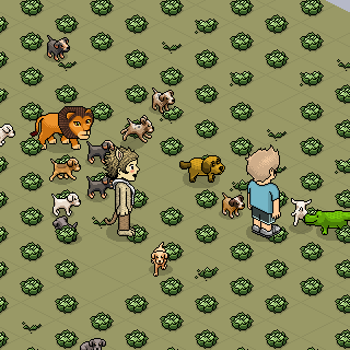 Photo by buccaneero