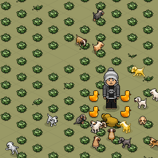 Photo by buccaneero