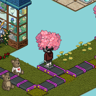 Photo by ,Pipeee