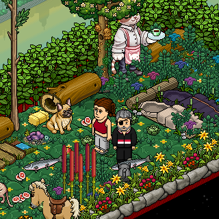 Photo by oldhabbo