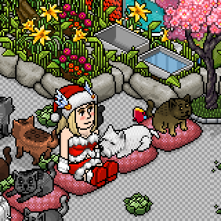 Photo by Dalianna