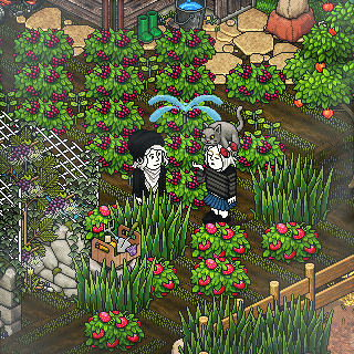 Photo by biata