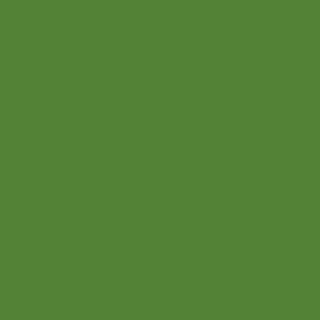 Photo by lRisita
