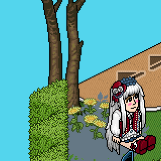 Photo by yonanepoli