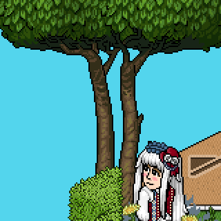 Photo by yonanepoli