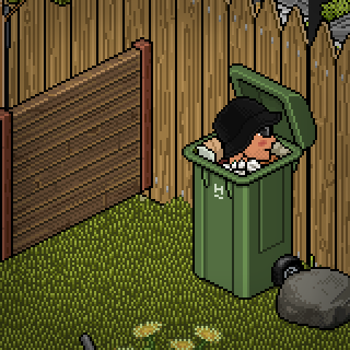 Photo by guialunastar