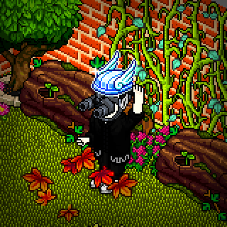Photo by Elso