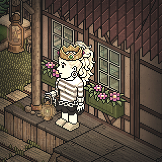 Photo by Xaly