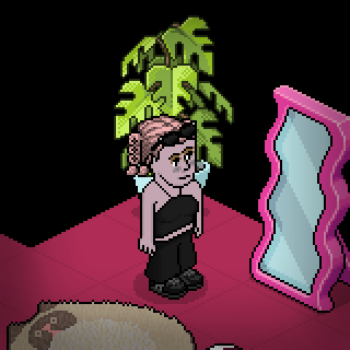 Photo by paquepu