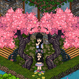 Photo by vivistarpop
