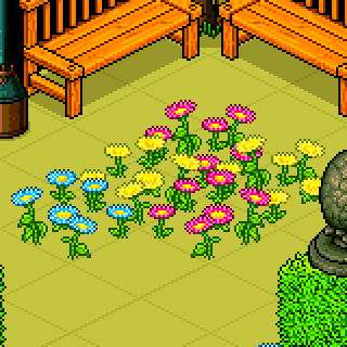 Photo by Word.girl