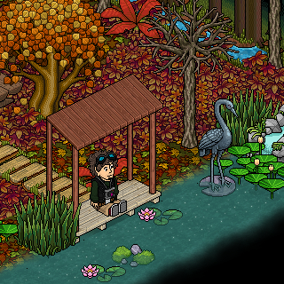 Photo by alexandre6576