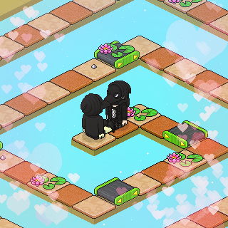 Photo by habbosuper321