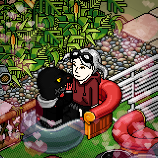 Photo by habbosuper321